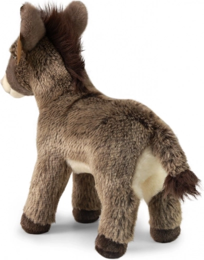 Подходящо от раждането