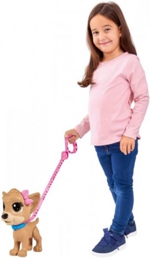 Easy control via the leash