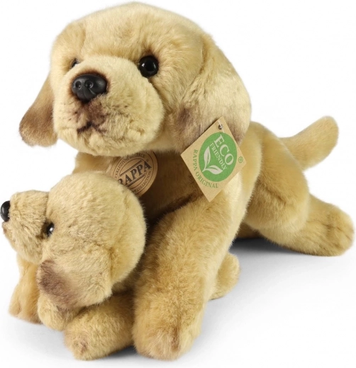 Безопасно от раждането (0+)