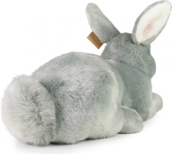 Мек и реалистичен спътник