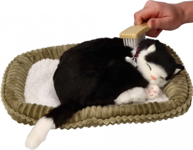 Реалистично дишане за успокояващ ефект