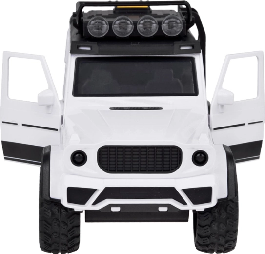 Opening doors and roof rack