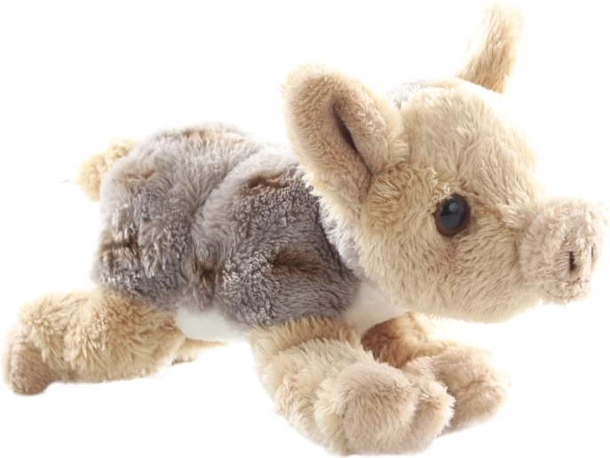 Очарователна реалистична визия