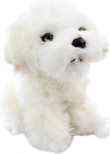 Реалистични детайли на сладкото кученце