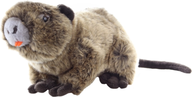 Eco-friendly материали