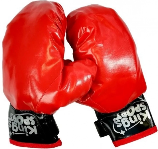 Universal Boxing Gloves