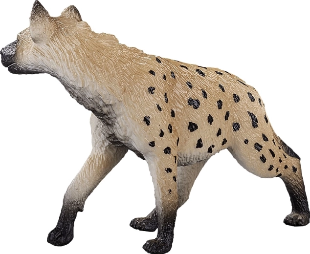 Многостранно приложение