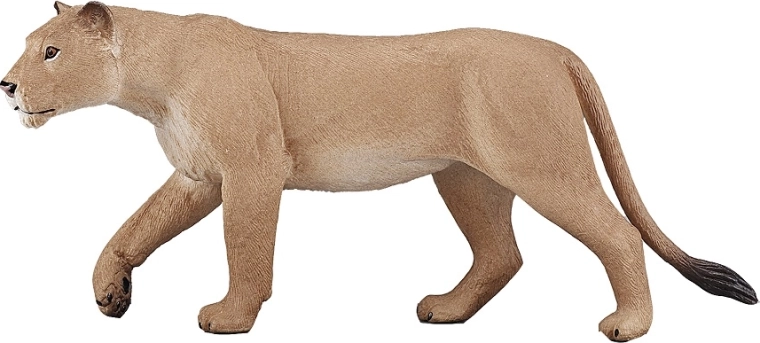 Realistic details and natural coloration