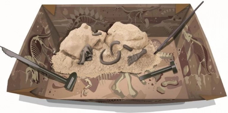 Изкопай и открий: гипсов блок с фосили