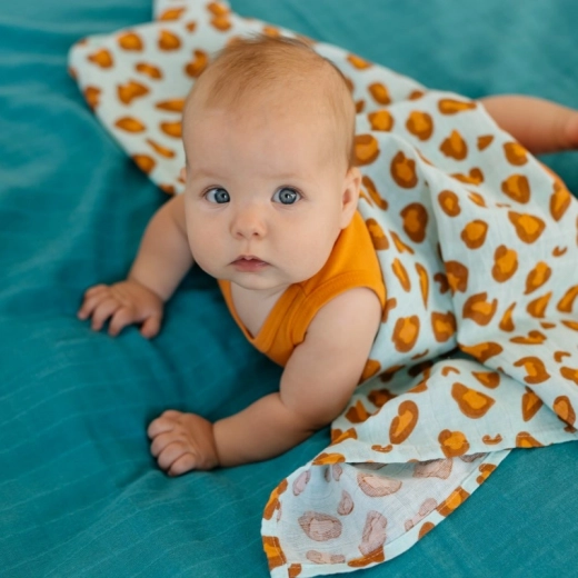 Многофункционално приложение