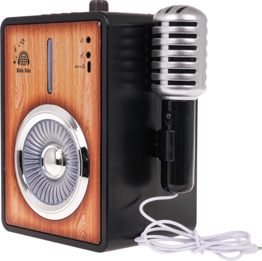 Recording and instant playback