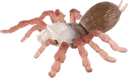 Здраво пластмасово тяло