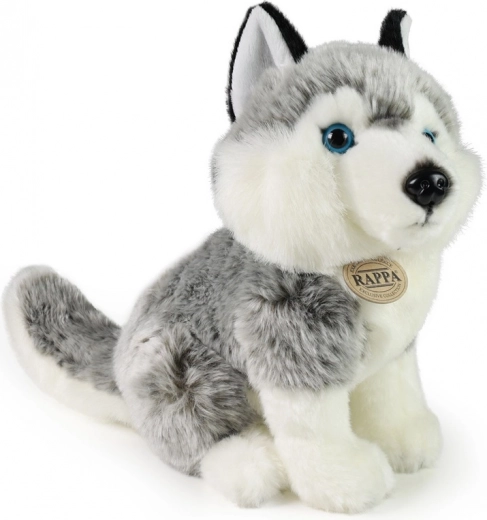 Реалистична визия