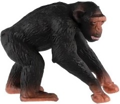 Образователна стойност