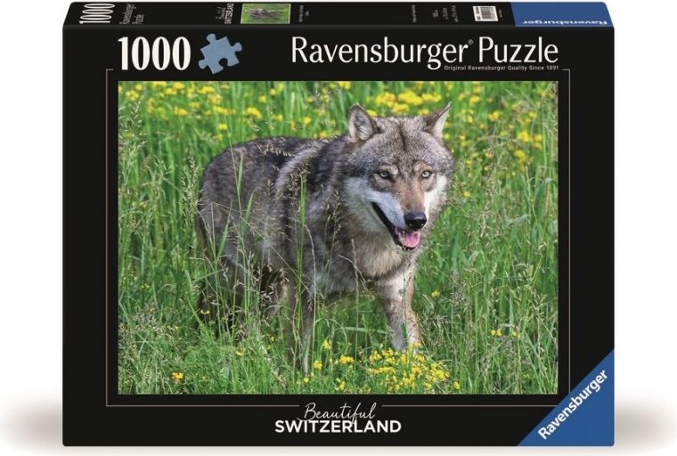 1000 pieces for a pleasant challenge