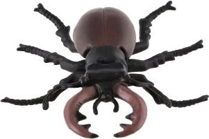 Колекционерски експонат