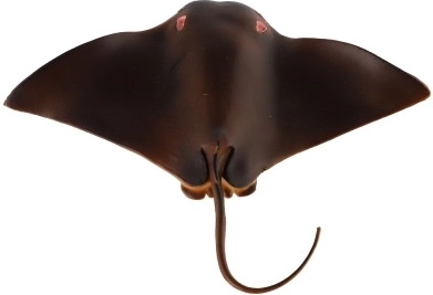 Образователен и декоративен