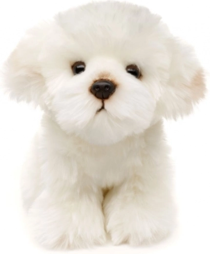 Еко и безопасно изпълнение