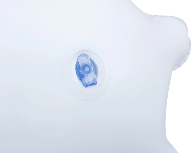 Лесна преносимост