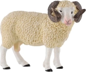 Верен дизайн