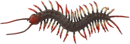 Реалистична визия, която забавлява