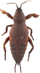 Супер еластичен и разтеглив материал