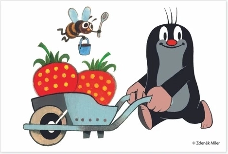 Качествено дърво и чешко производство