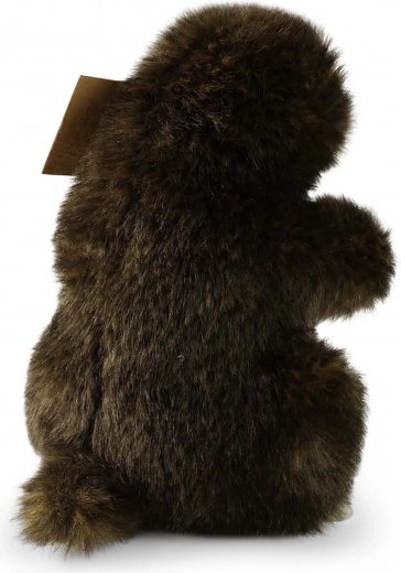 Безопасно от раждането