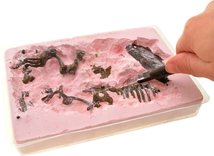 Образователно забавление за деца