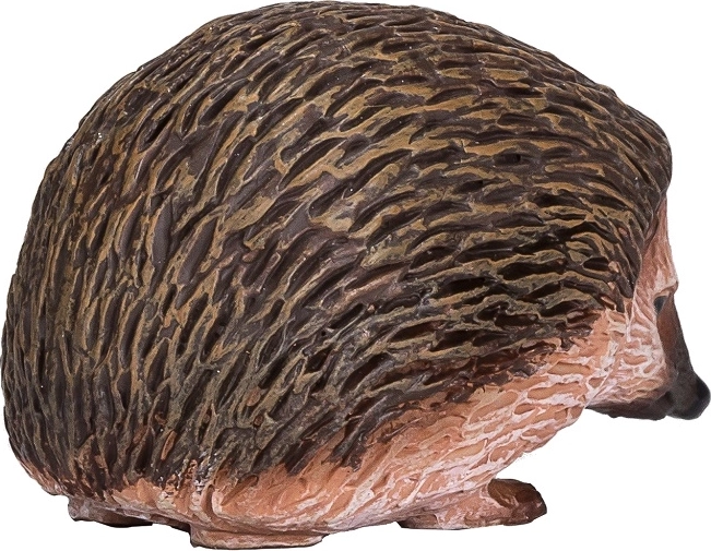 Образователна цел