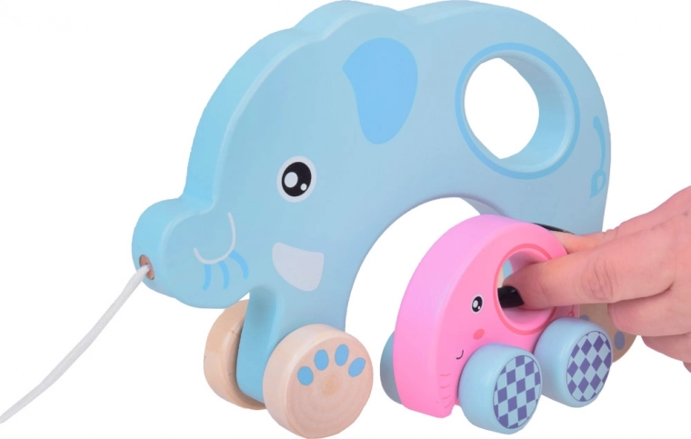 Two elephants for double the fun