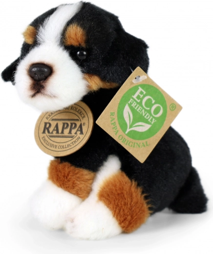 Разнообразни видове