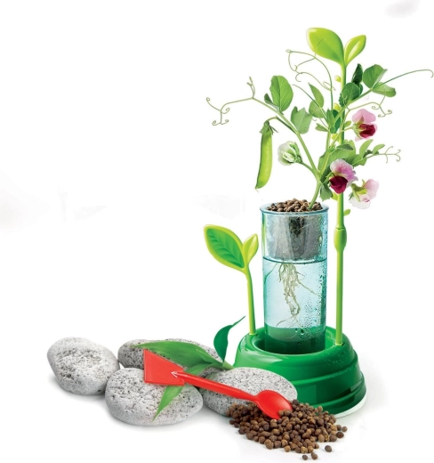 Прозрачен съд за наблюдение на корените