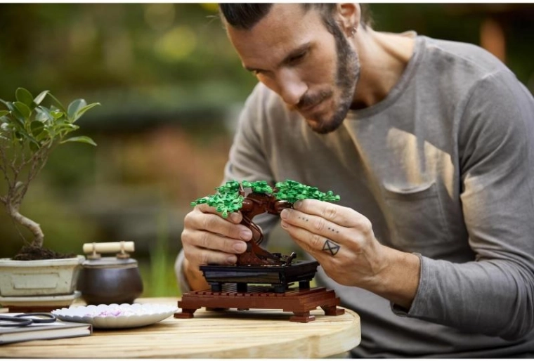 Декоративна и реалистична визия