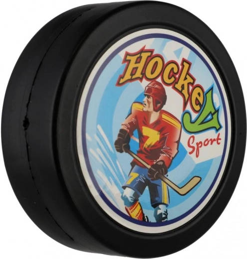 Шайба, идеална за тренировки