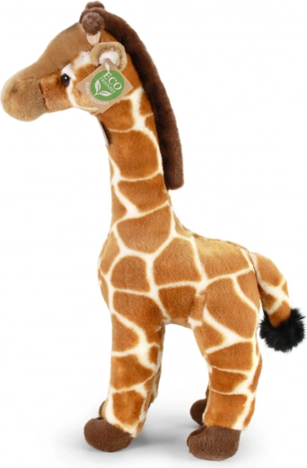 Реалистична визия и стоящо изпълнение