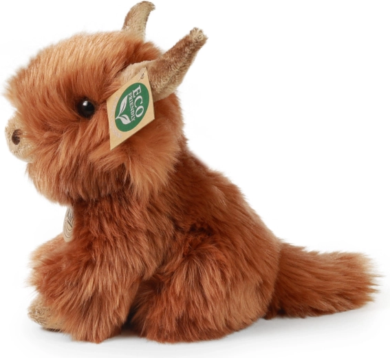 Автентичен вид на шотландското планинско говедо