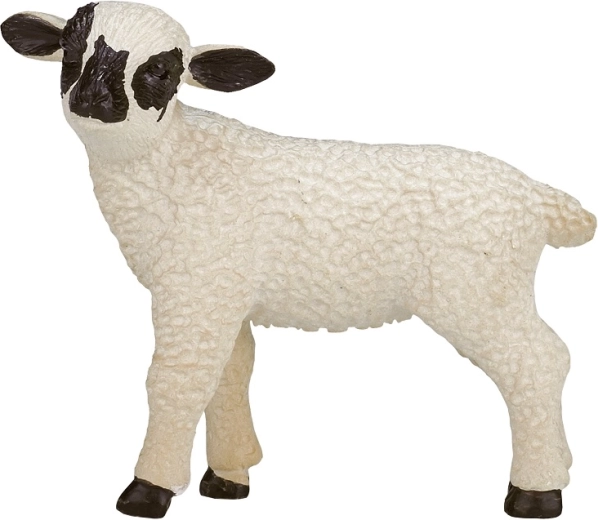 Ideal for learning and free play