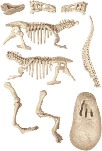 Изкопай и открий T‑Rex