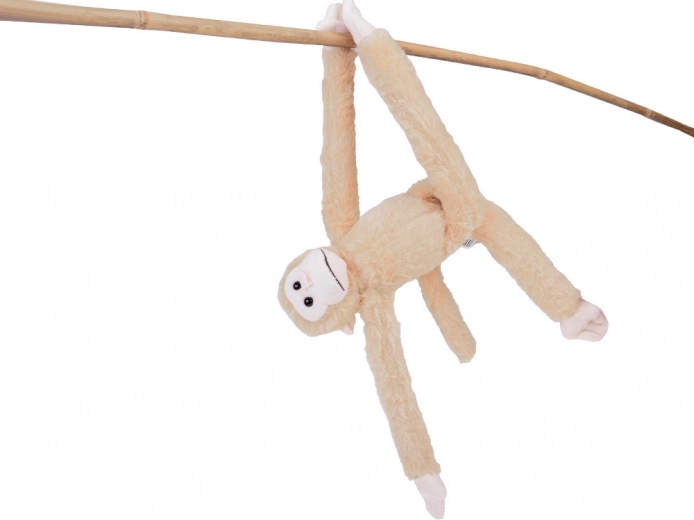 Long arms and legs for loads of fun
