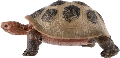 Компактен размер