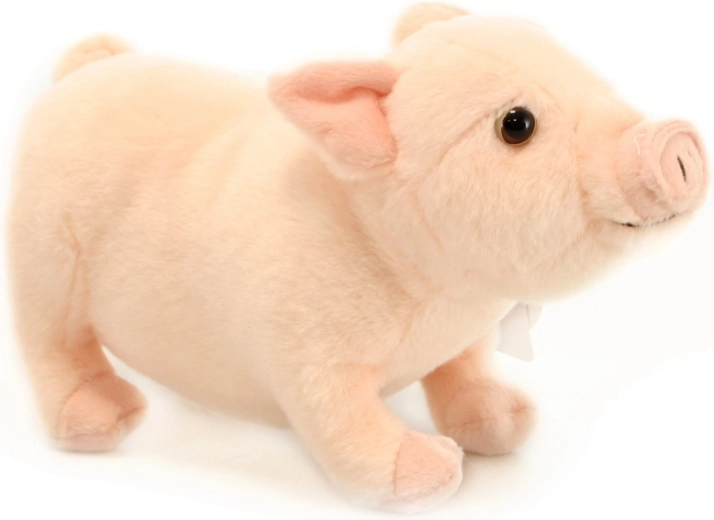 Реалистични детайли за повече забавление