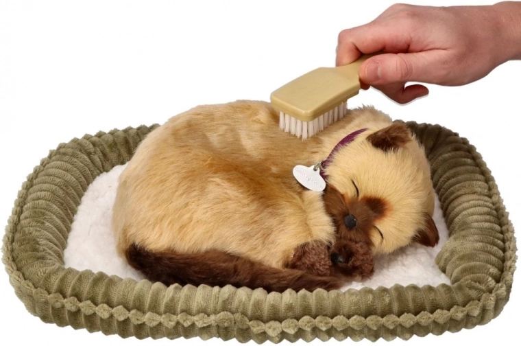 Грижа и игра с четка