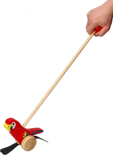Supports walking and balance
