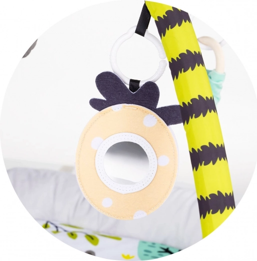 Mirror and sensory stimuli