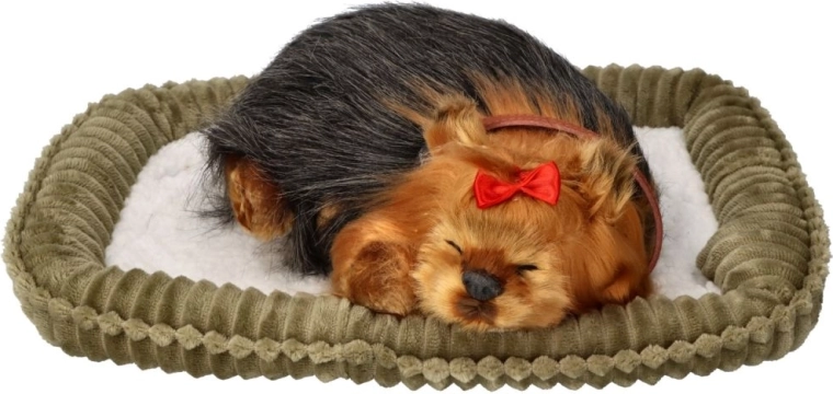 Лесна поддръжка, радост без грижи