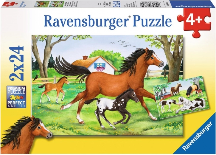 Two puzzles in one: 2×24 pieces