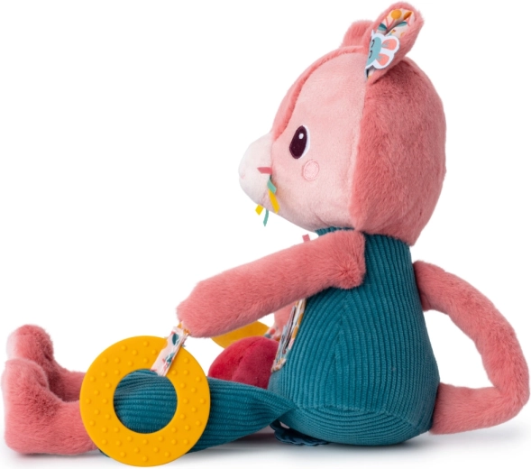 Development of sensory perception