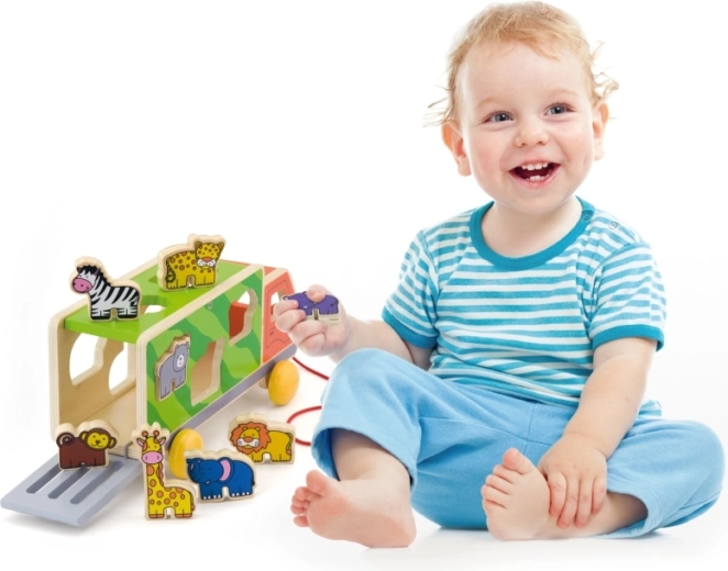 Развитие на моторика и координация