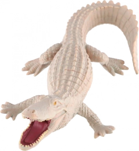 Образователна стойност за рядкото оцветяване